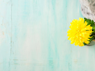 Turquoise background with yellow flower. Card