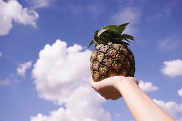 close up pineapple fruit on man hand