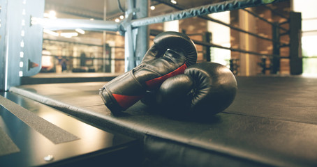 boxing gloves in ring