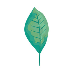 ecology leaf plant icon