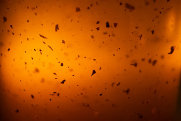 Glassy teapot with pieces of tea leaves with the homey background