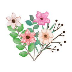 beautiful flowers and leafs decoration