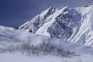 Fototapeta premium Hakuba