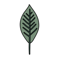 ecology leaf plant icon