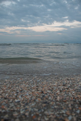 Shells on the seashore
