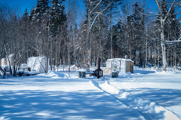 Fototapete bei efototapeten.de bestellen   