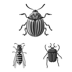Vector design of insect and fly symbol. Collection of insect and element stock symbol for web.