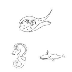 Isolated object of sea and animal icon. Set of sea and marine stock symbol for web.