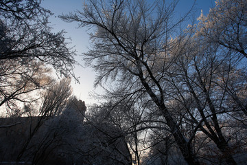 Lodz, Poland: January, 2006 - Zrodliska Park and Scheibler's factory