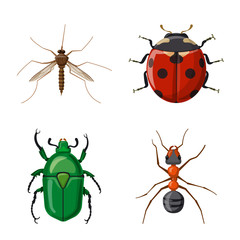Vector illustration of insect and fly symbol. Set of insect and element stock symbol for web.