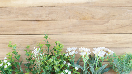 Space on Wooden Board with Flower and Green Plant 