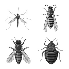 Vector design of insect and fly symbol. Collection of insect and element stock vector illustration.