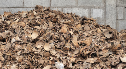Heap of Coconut Shell 