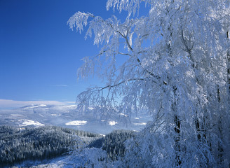 view to Skrzyczne Mountain and surroundings from Wisla Town, Slaski Beskid Mountains, Silesian region, Poland