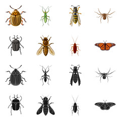 Vector illustration of insect and fly symbol. Collection of insect and element stock vector illustration.
