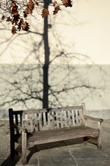 The shadow of the winter and the loneliness