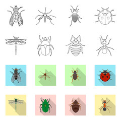 Vector illustration of insect and fly sign. Collection of insect and element vector icon for stock.