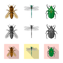 Isolated object of insect and fly symbol. Set of insect and element vector icon for stock.