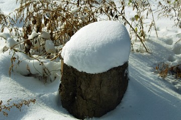 snow hat on a felled tree