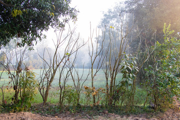 Traditional partition of farmland in rural area