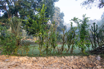 Traditional partition of farmland in rural area