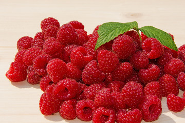 Frisch geerntete Himbeeren, Rubus idaeus