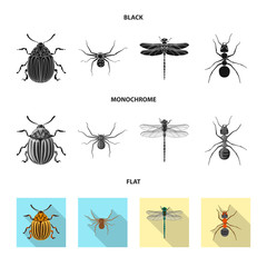 Isolated object of insect and fly sign. Collection of insect and element vector icon for stock.