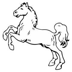 Fototapeta na wymiar Heraldy horse vector