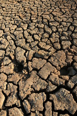 dry cracked earth