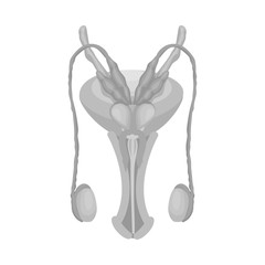 Vector design of body and human logo. Collection of body and medical vector icon for stock.