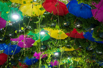 Fototapeta na wymiar ceiling with green plants is decorated with colorful umbrellas. Night lighting