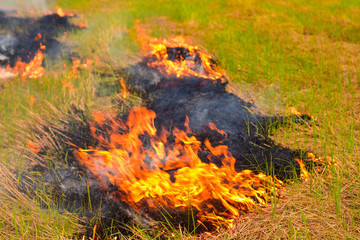 Farmers burn straw and hay during the dry season to destroy pests before planting new crops.
