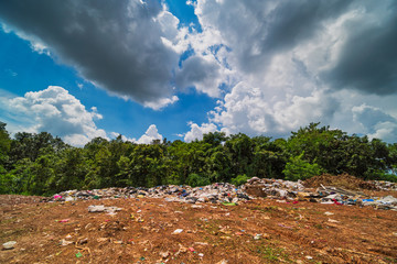 Wilde M&uuml;llkippe in der Natur