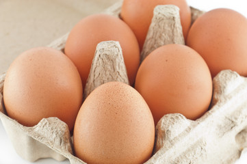 eggs in a carton