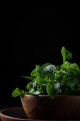 Watercress in wood bowl