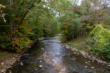 Panorama e natura della Virginia (USA)