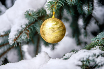 Fototapeta na wymiar A golden ball hanging on the branches of a snow-covered fir 