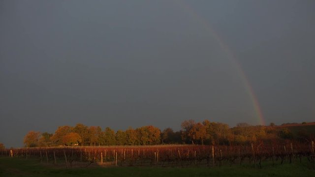 Storm clouds and rainbow over Bordeaux vineyards, France