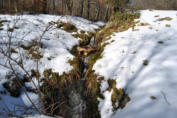 Sulla neve