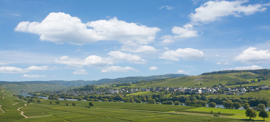 Weinort Brauneberg an der Mittelmosel,Rheinland-Pfalz,Deutschland