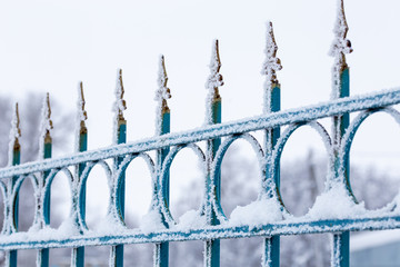 frosty iron fence with selective focus at daylight