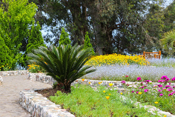 Fototapeta premium Beautiful view of the Batumi botanical garden, Georgia