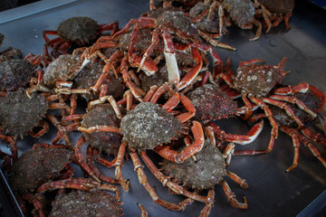Fresh, raw crabs lie on the counter near the coast of the Kelst Sea in French Normandy