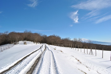 Sulla neve