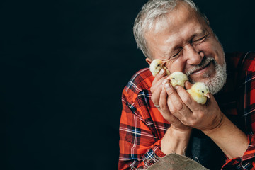 old kind man is hugging a chicken isolated on the black background, tender feeling, kindness