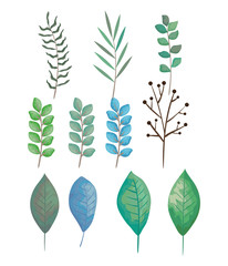branch with leafs set styles icons