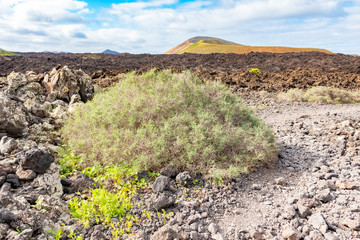 Lava stone and tourist road trail to vulcano Caldera Blanca, Lanzarote, Canary Islands, Spain