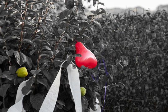 red balloon heart on shrub