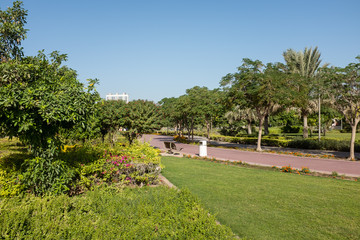 Fototapeta na wymiar Al Barsha Pond Park, Dubai, United Arab Emirates