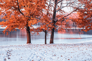 Beautiful winter red trees in the snow on the lake